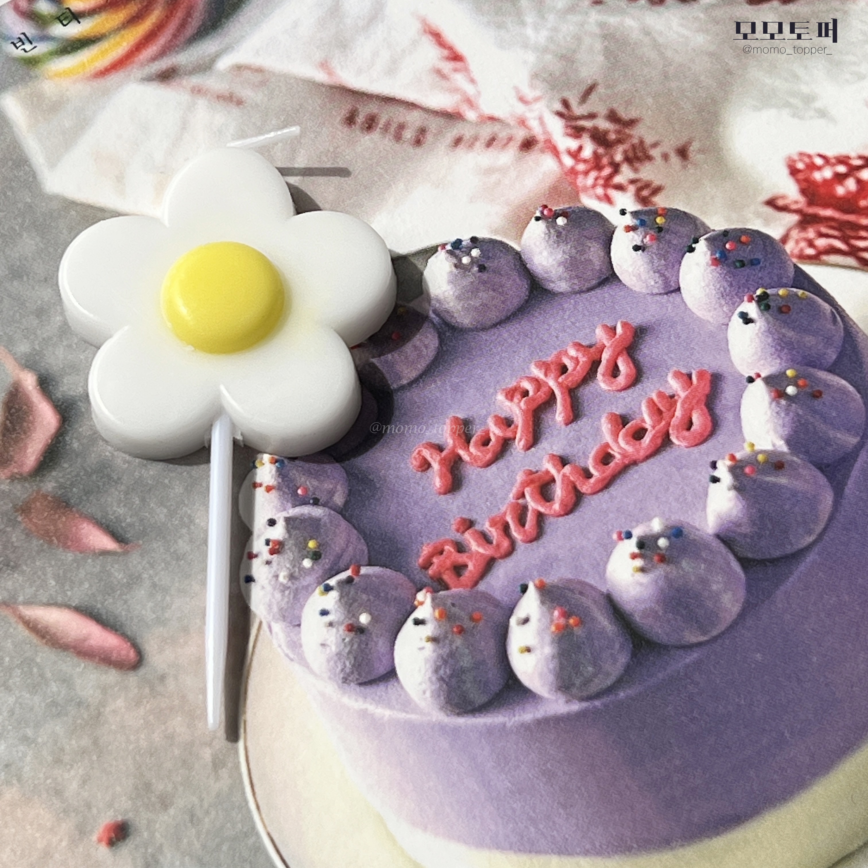 5세트 번들팩) 몽글데이지초 생일 파티 케이크초 : 모모토퍼