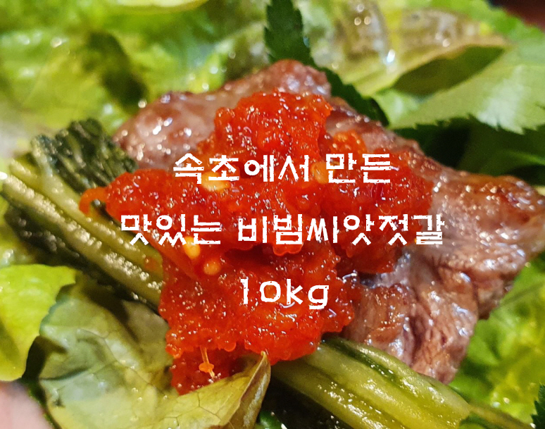속초 비빔씨앗젓갈 10kg 젓갈반찬 밥도둑 밑반찬 : 한국팔도밥상