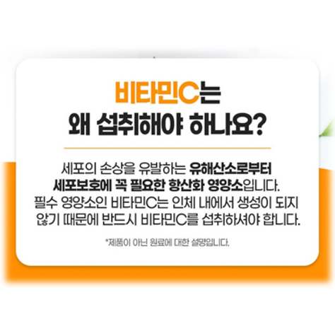 내츄럴플러스 면역비타민C 1000 항산화 가족 : 건강 왕