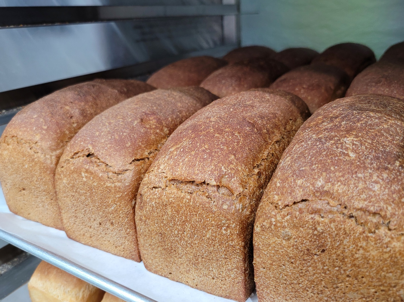 유기농 신선한 호밀빵 450g-500g ORGANIC RYE BREAD 450g-500g : 멜니짜