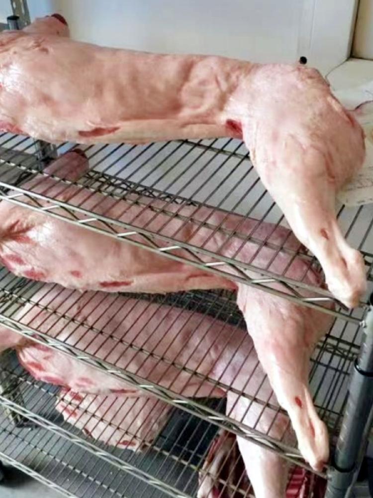 가짜 고기 모형 다리 걸이 정육점 갈비 소품 : 포런굿즈
