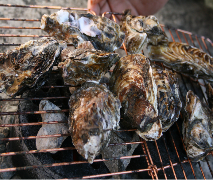 춘백이수산 통영 석화굴 삼배체굴 캠핑 조개구이 : 춘백이수산