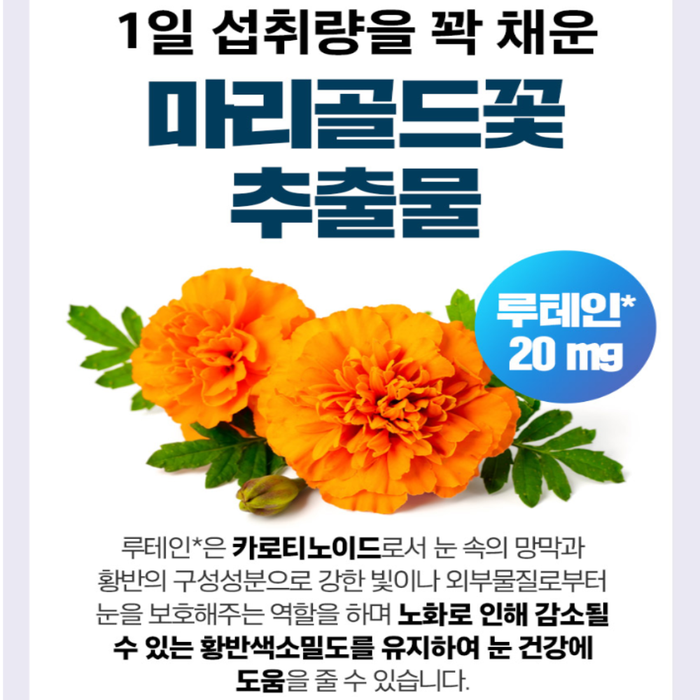 메이플트리 루테인 오메가3 플러스 8종 복합기능성오메가3 : 건강한터틀스