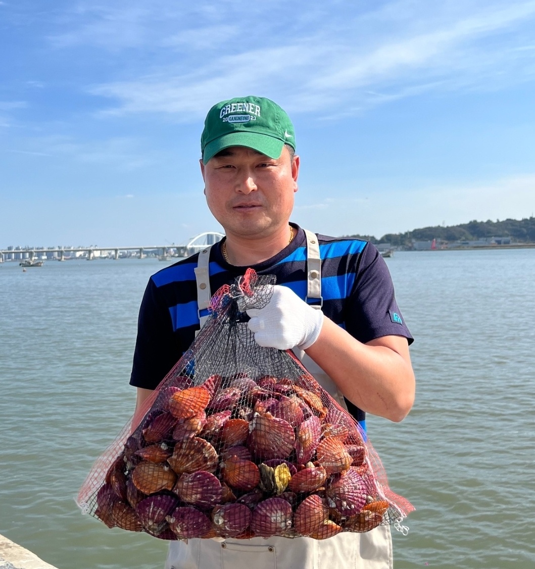 통영 제철 홍 가리비 비단 찜 조개 구이 1kg : 주식회사 엄마수산