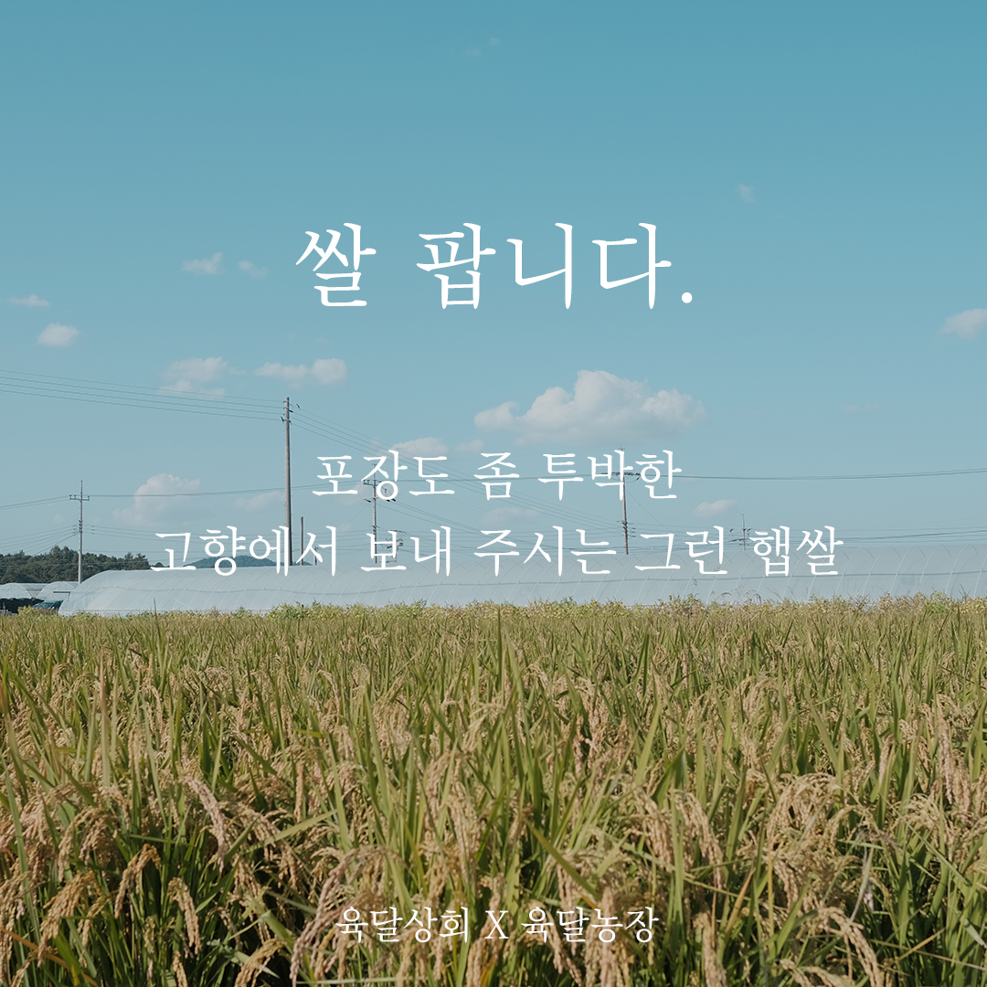 육달농장 23년 미호쌀(10kg) : 육달상회