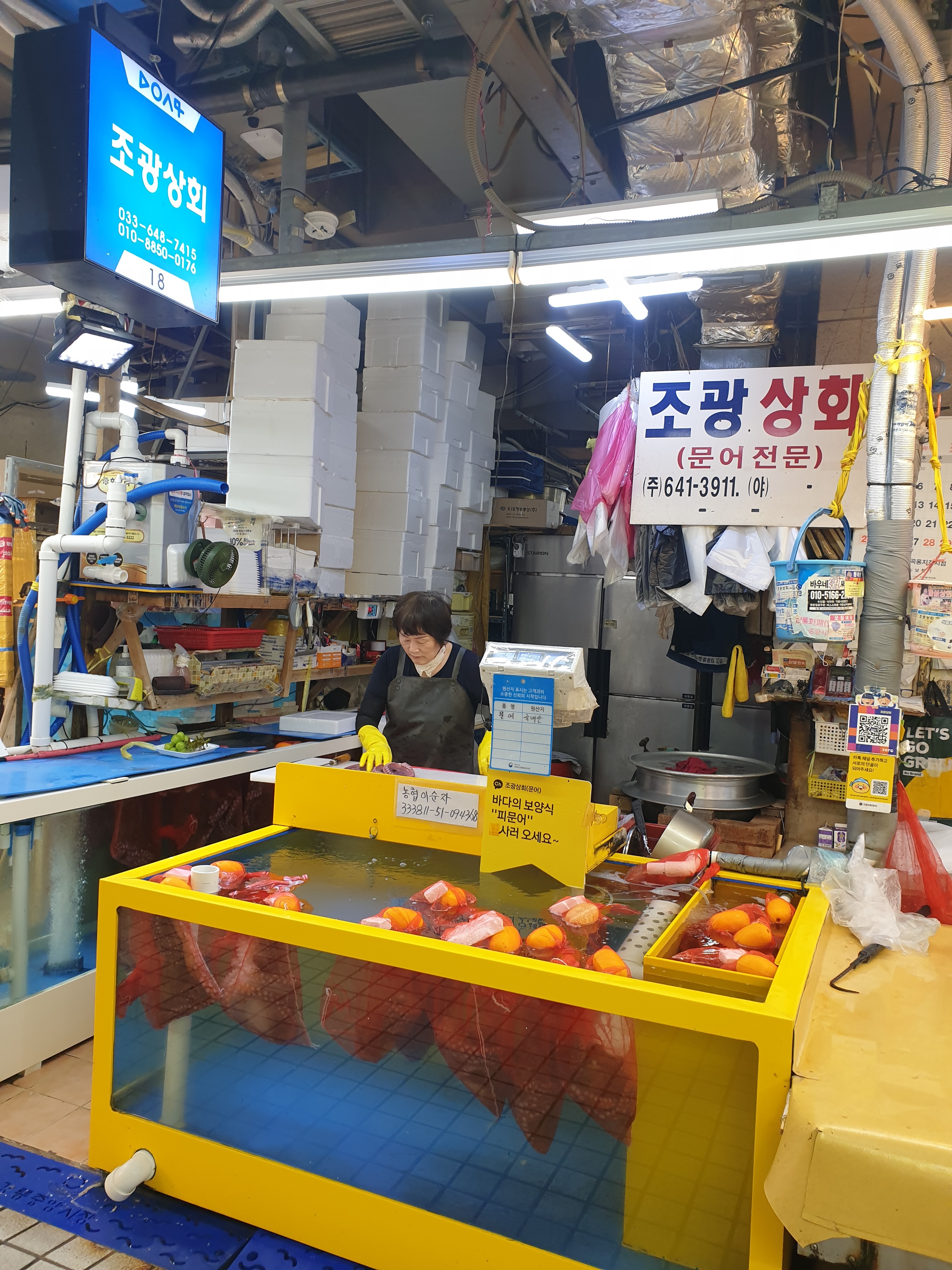바로잡은 제수용 이바지용 선물용 온다리 동해안 문어 1kg 강릉중앙시장 조광상회 : 조광상회문어전문강릉중앙시장