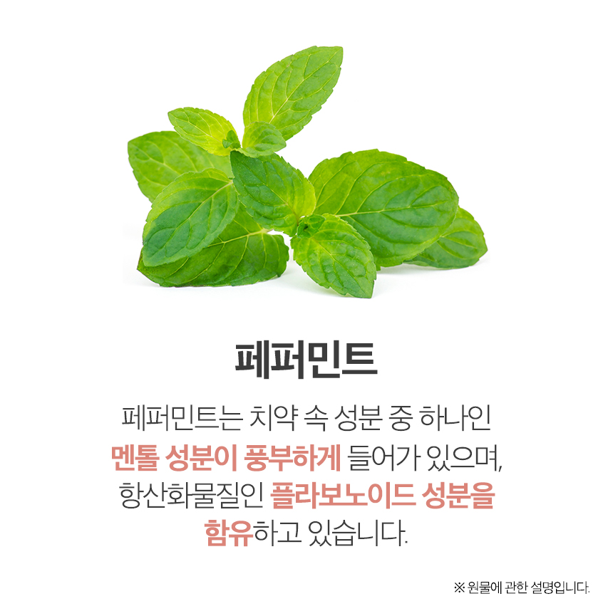 순수한집 페퍼민트차 페퍼민트티 티백 50개입 : 리헬스샵