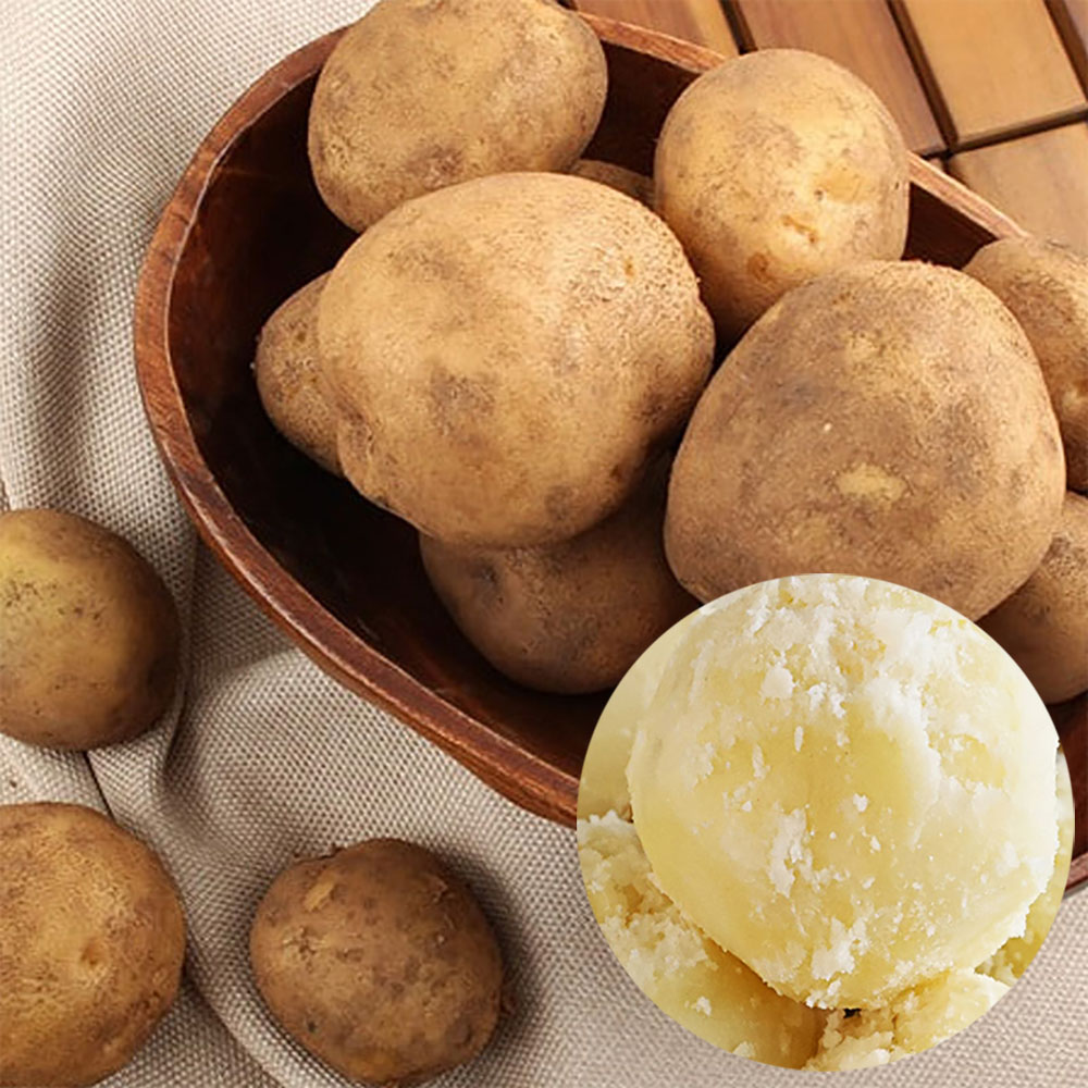 달티어 강원도감자 두백감자 분감자 5kg : 달티어