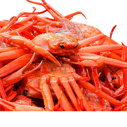 특A급 수율보장 100% 선주직송 울진 속초 박달 홍게 3kg (10미 내외) : 마켓미남
