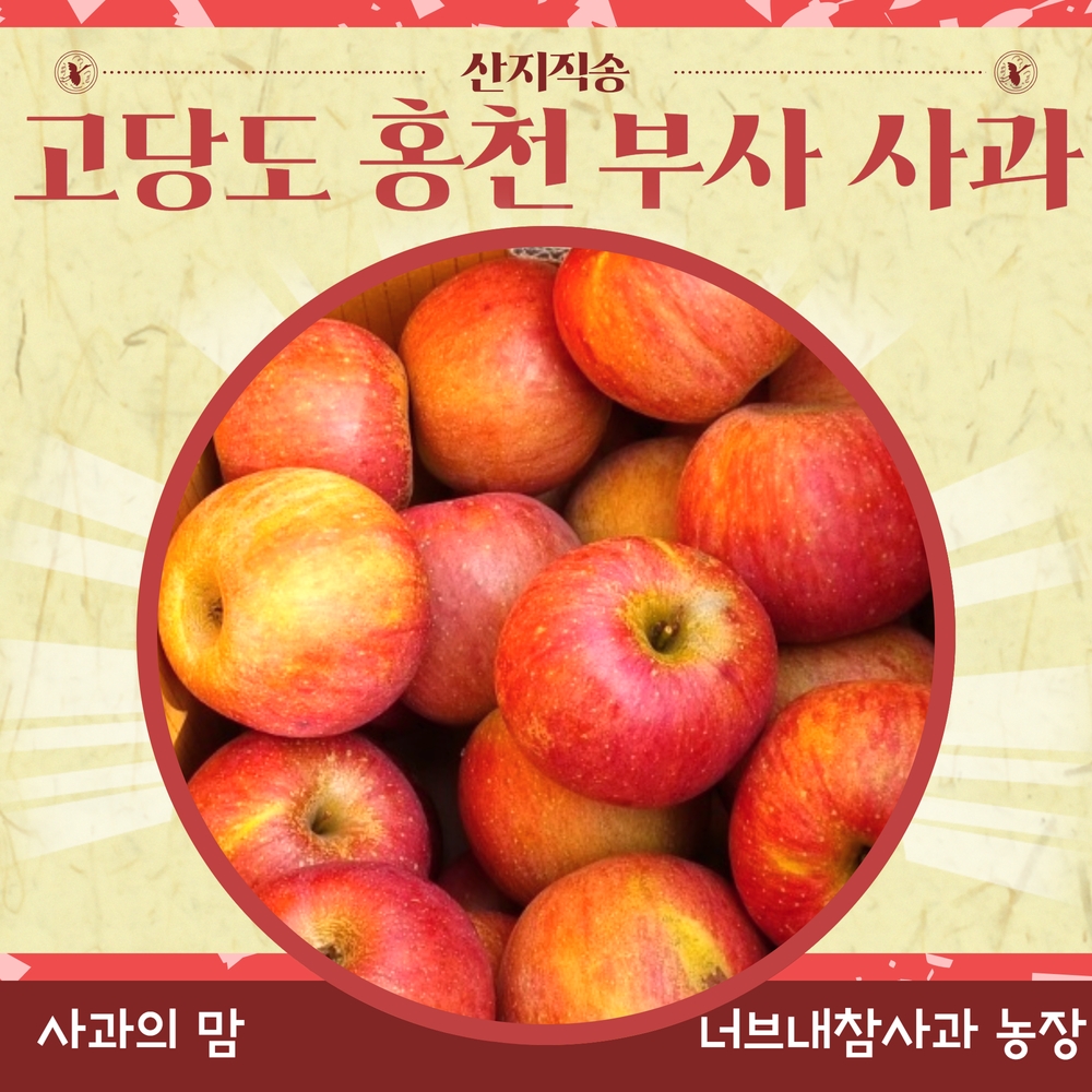 홍천 사과 부사 후브락스 후지 사과 너브내참사과농장 산지직송 홍천사과축제 참여 : 사과의맘