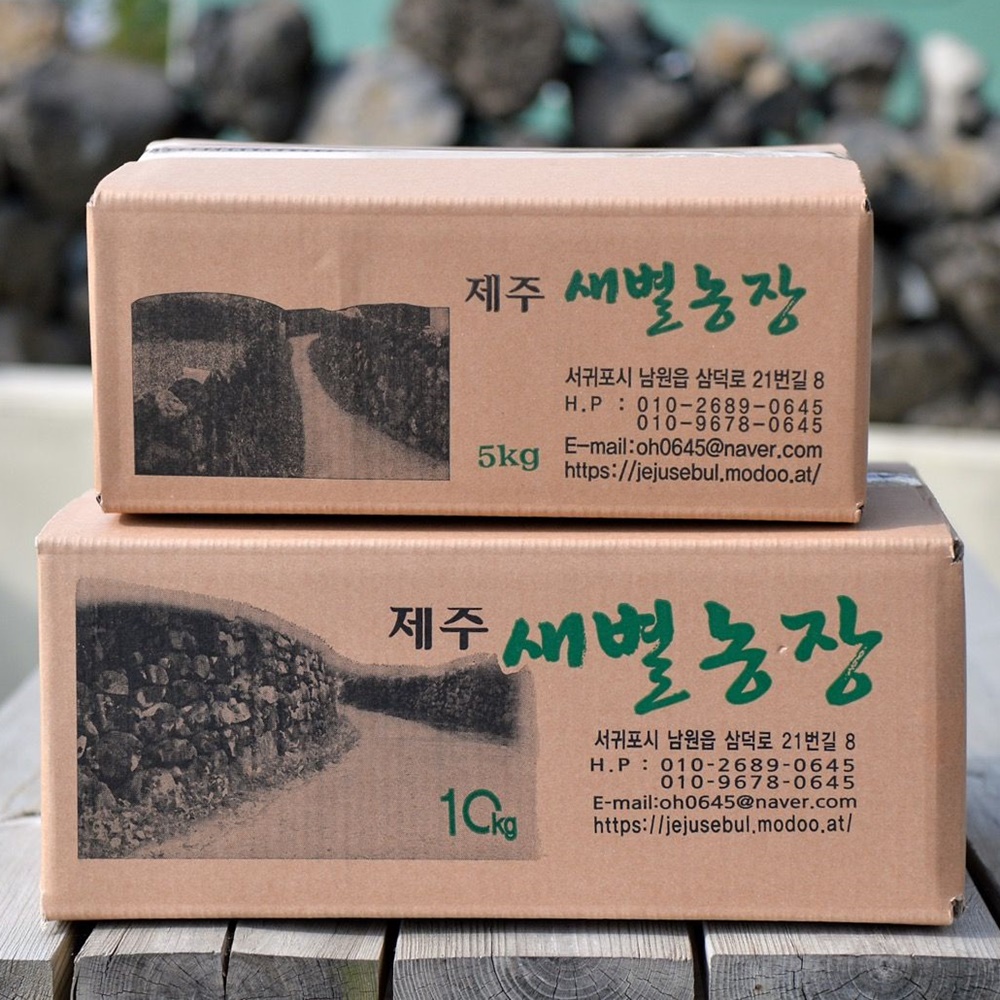 제주 귤 황금향 레드향 3kg 5kg 10kg  한라봉 천혜향 가정용 선물세트 : 제주새별농장