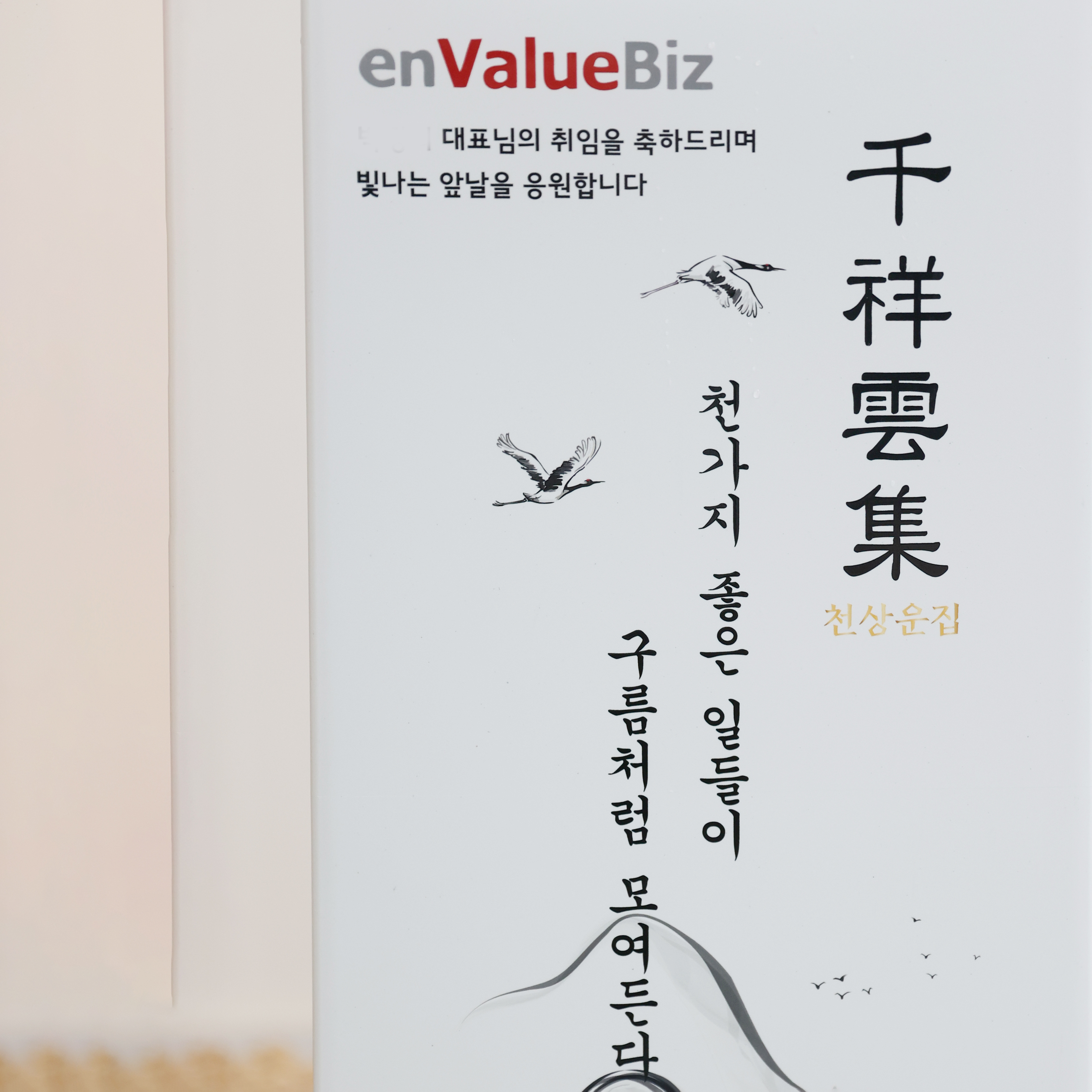 [개업 화분] 드라세나 드라코 대형 : 채움메세지화분