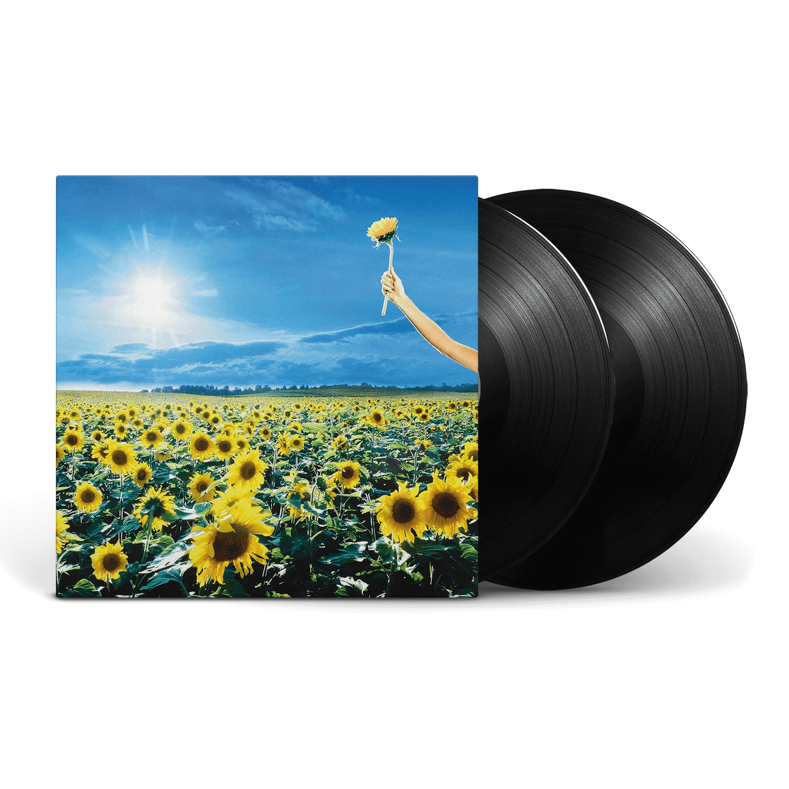 [LP] 스톤 템플 파일럿츠 (Stone Temple Pilots) Thank You : 바이닐앤바이브