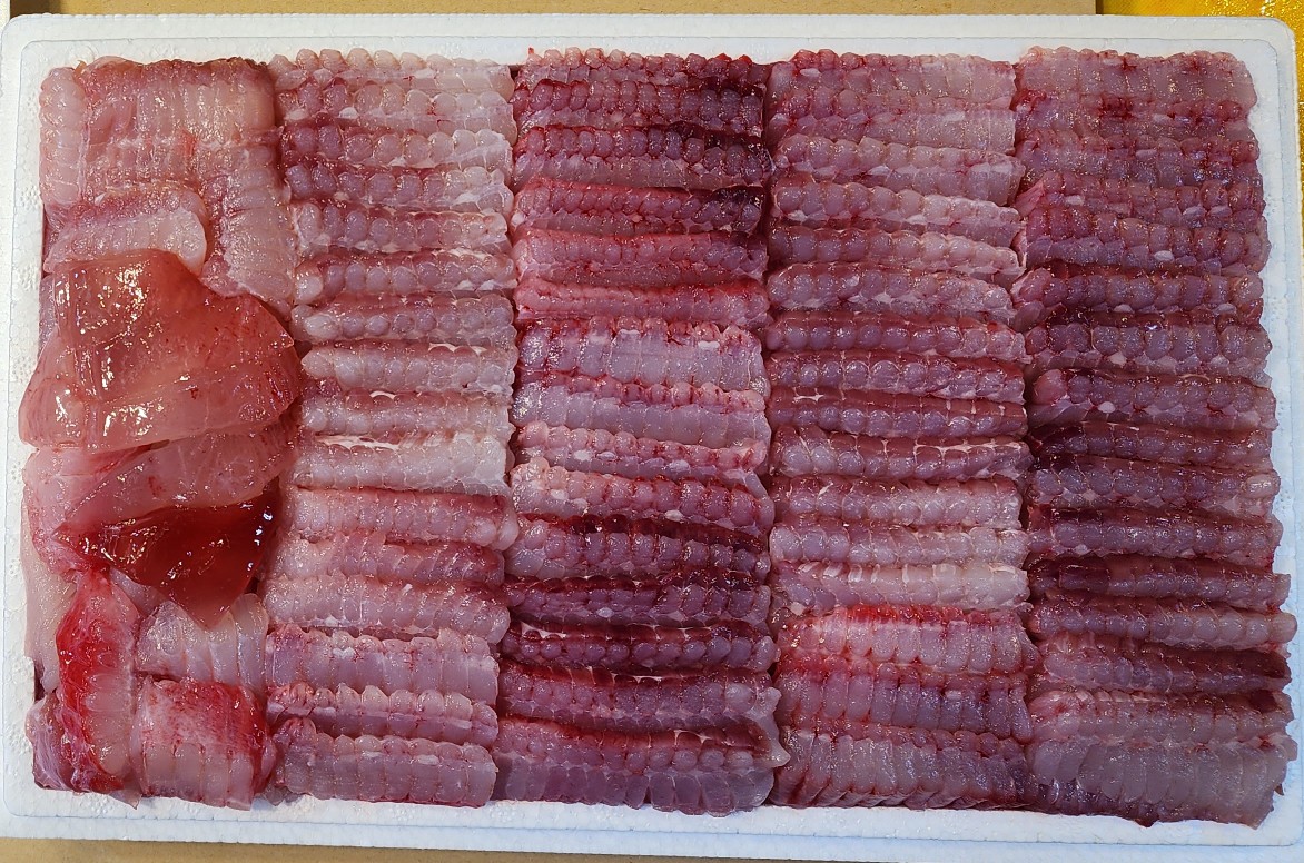 목포 일로수산 국산홍어 1600g : 목포 일로수산