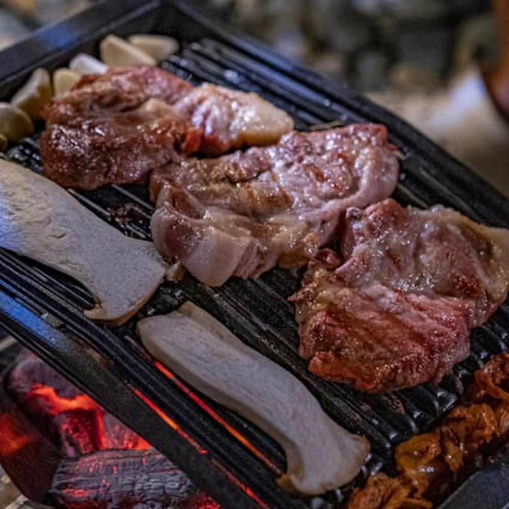디바디바 그릴 무쇠 불판 캠핑 화로 숯불 구이 무쇠 그릴 석쇠 : 마켓엠에스지