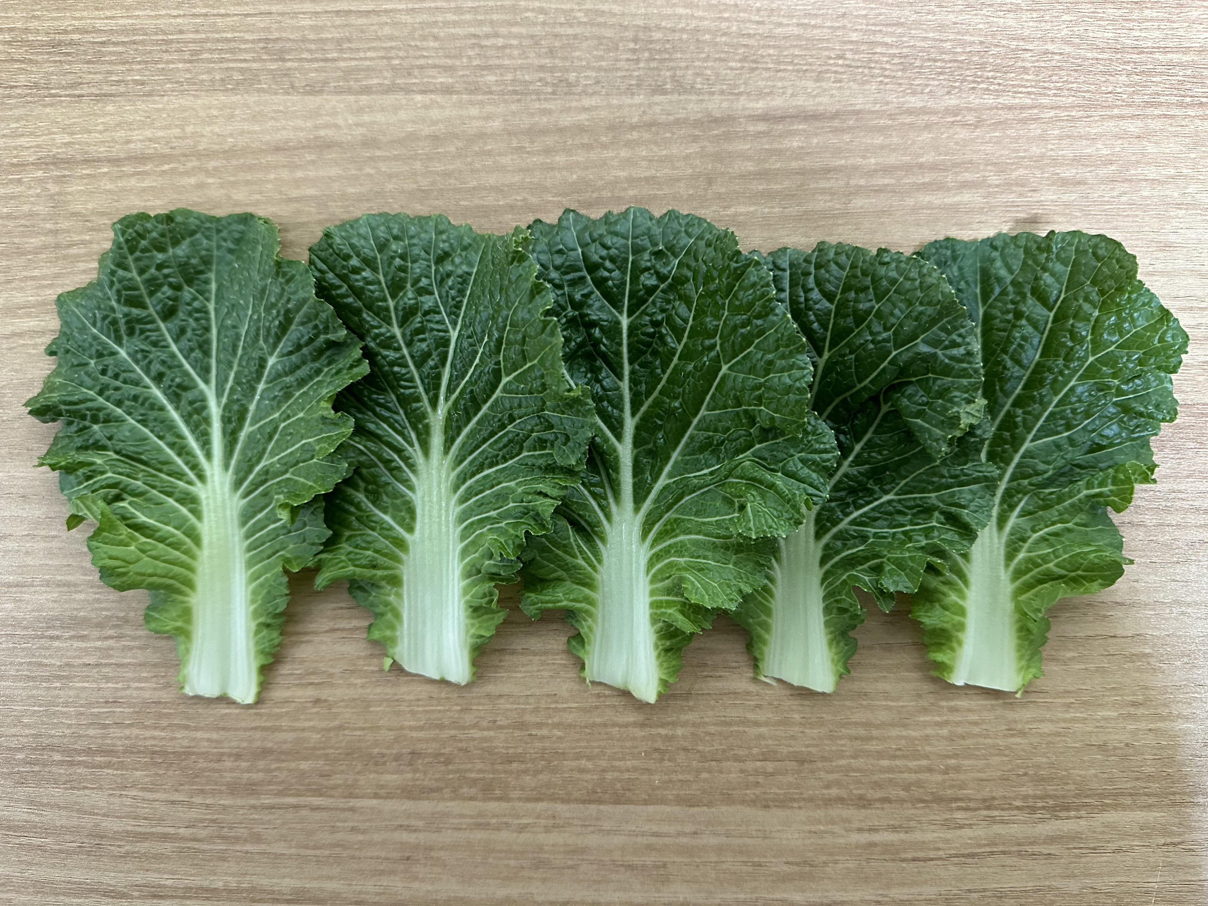 백광농장 국내산 쌈추(특) 2kg : 백광농장