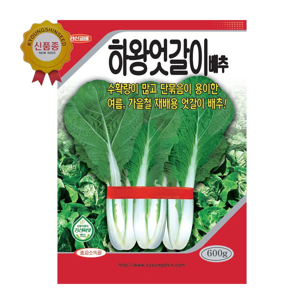 엇갈이배추씨앗 하왕엇갈이배추 600g 여름 가을 재배 : GT라인