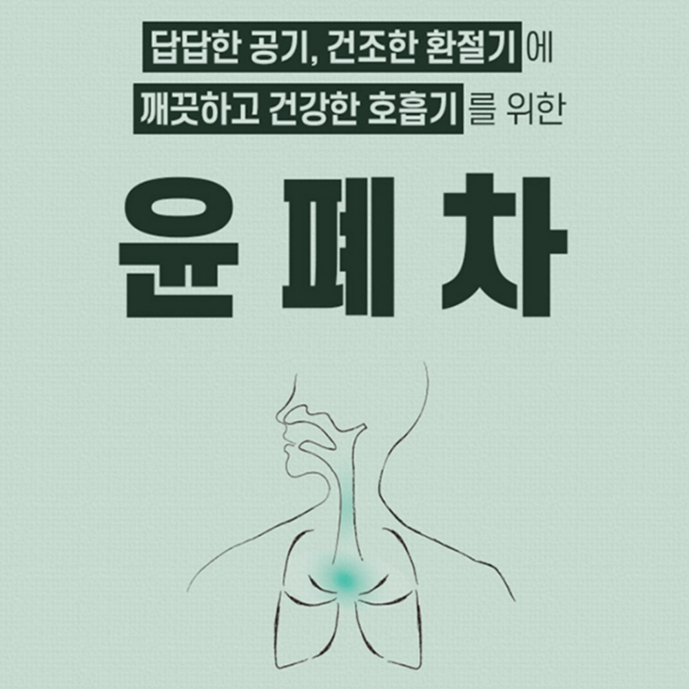 곰보배추차 생강 도라지 맥문동 차 윤폐탕 커피대신차 : 비앤엠스토어