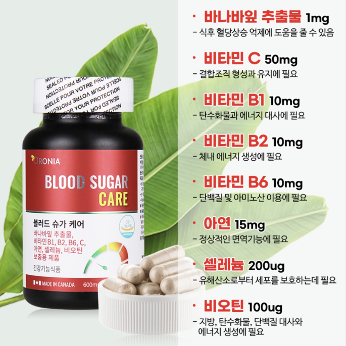 캐나다 바나바잎 추출물 영양제 블러드슈가 식후 혈당 케어 코로솔산 여주분말 호로파 효능 : 브레인비