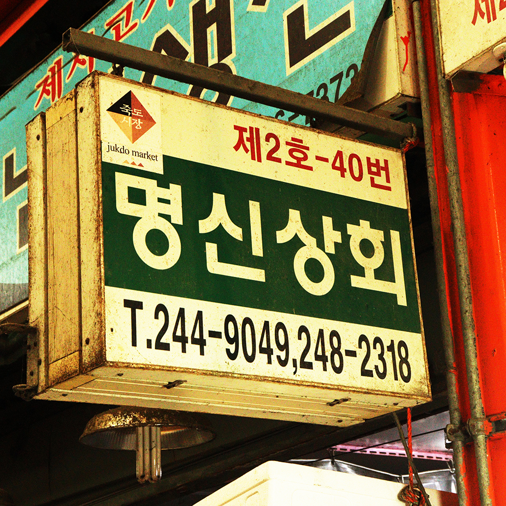 [포항시 배달] 꼭지제거한 국산 통마늘(특大) 1kg [죽도 명신상회] : 동네시장 장보기