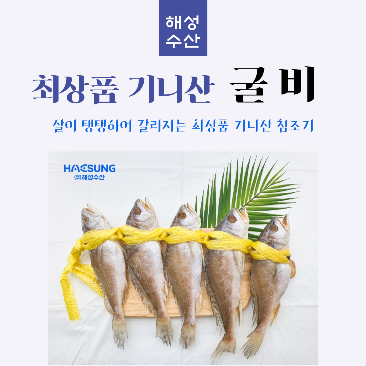 침조기 5마리 1.1kg 기니산굴비 : 대구해성수산마켓