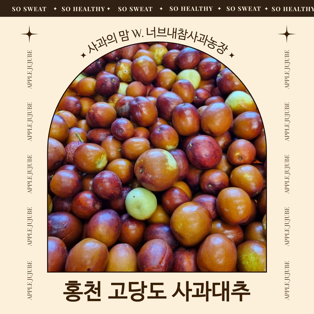 홍천 고당도 사과대추 3kg 너브내참사과농장 2024년 수확 : 사과의맘