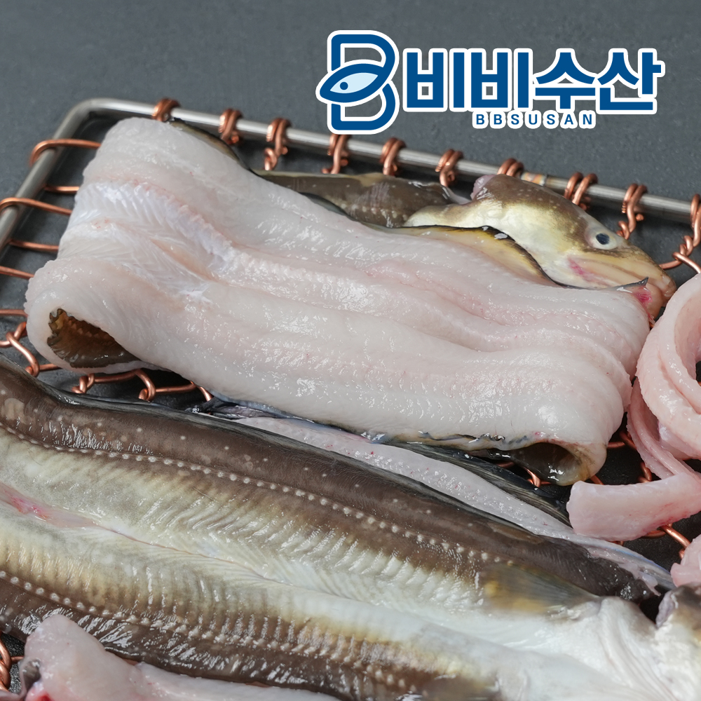 국내산 손질 자연산 남해 바다장어 1kg(소스2+생강) 아나고 붕장어 : 비비수산