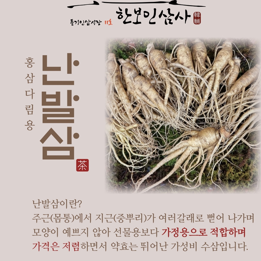 6년근 수삼 인삼 굵은 풍기인삼 홍삼다림용 : 한보인삼사