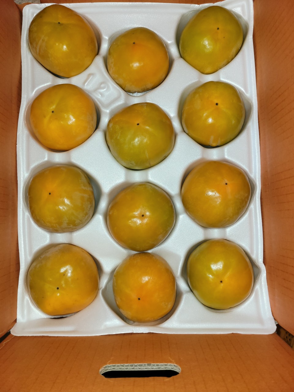[신바람 농산물] 경남 산청 24년 햇 부유 단감 10kg 판매 파는곳 : 신바람 쇼핑몰