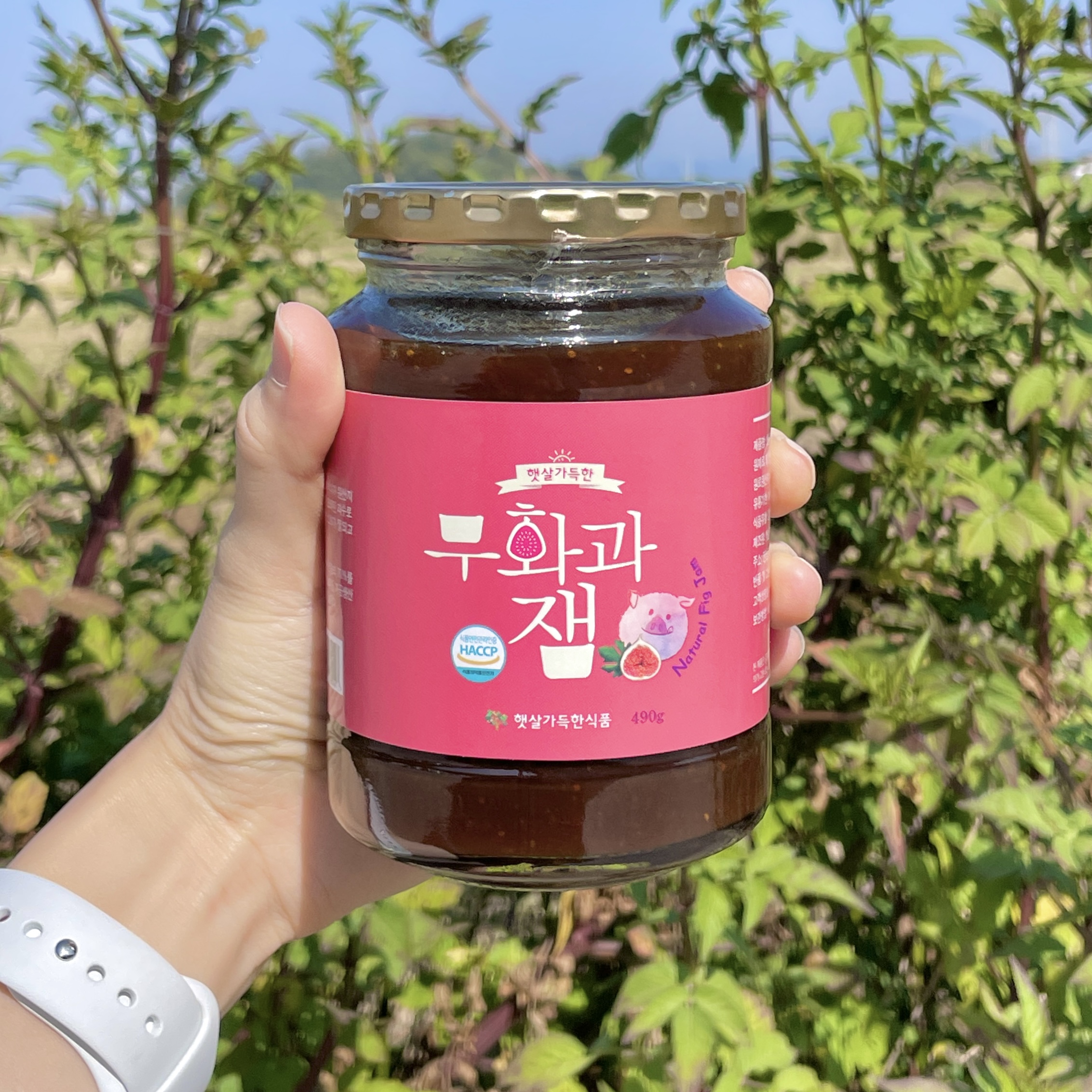 무화과잼 490g : 햇살가득한식품