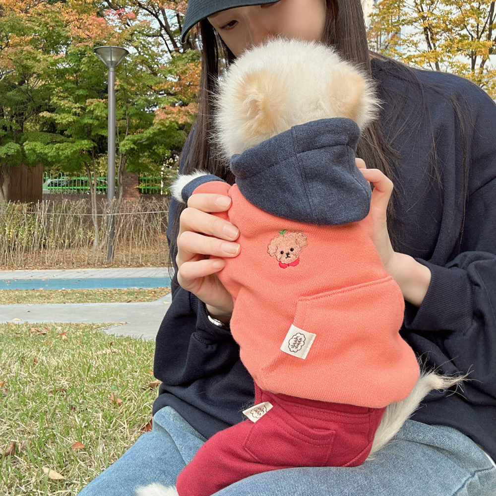 강아지명품옷 잼잼 댕댕이 후드티S 포메라니안옷 비숑옷 뭉미샵 : 뭉미샵