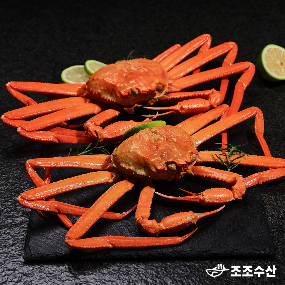 울진 후포리 박달홍게 찜 산지직송 자숙홍게 3kg : 조조수산