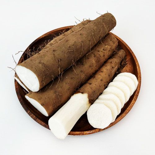 안동 참마 장마 마 생마 산마 1kg : 기린농산