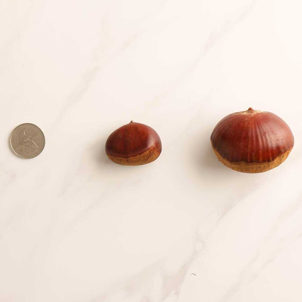 공주밤 햇밤 알밤 군밤 왕밤 옥광밤 생밤 단밤 1kg : 작심밀도