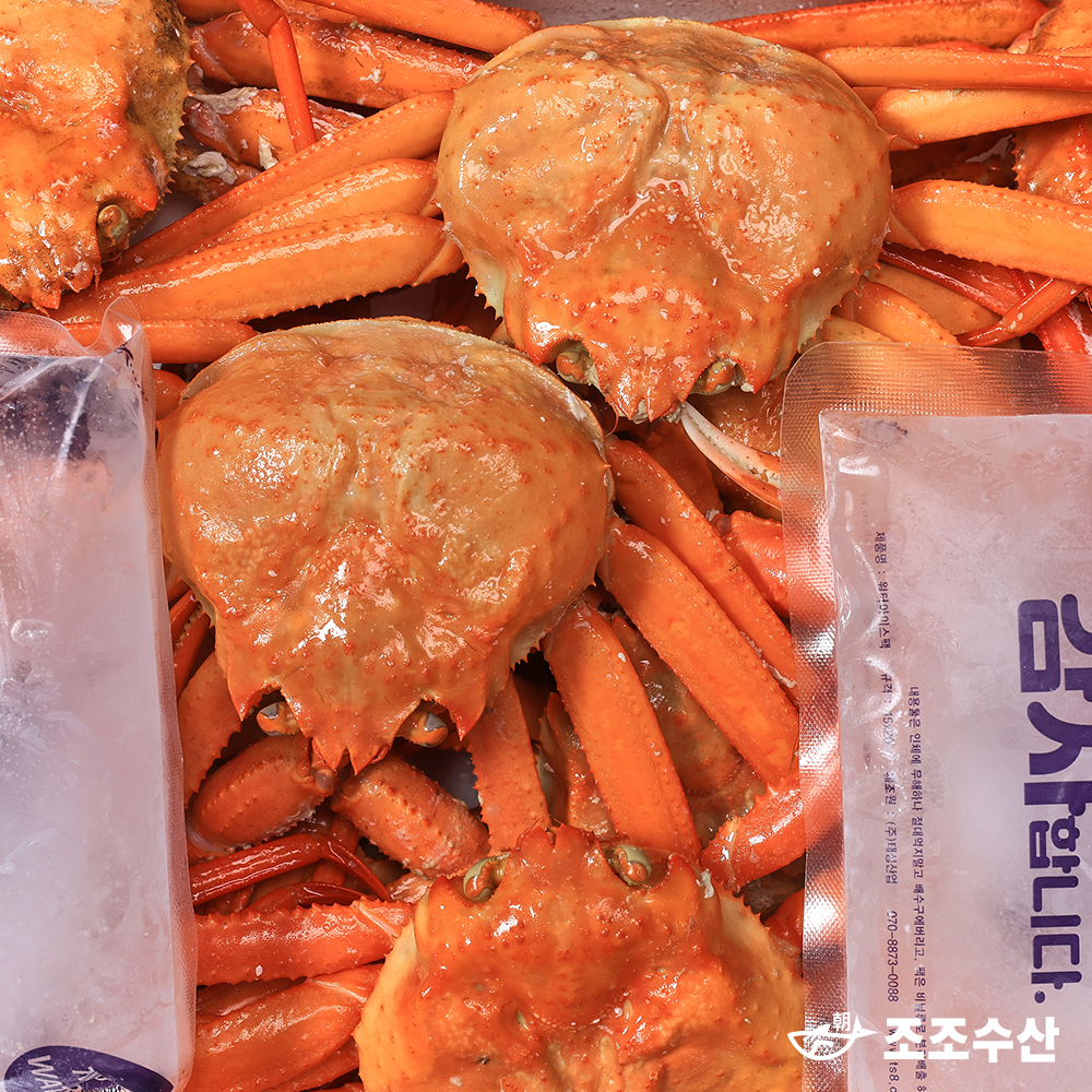 울진 후포리 박달홍게 찜 산지직송 자숙홍게 3kg : 조조수산