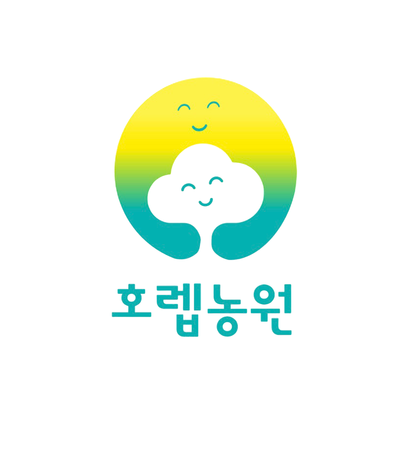 국내산 노지 유럽상추 싱싱 샐러드 쌈 산지직송 300g : 호렙농원