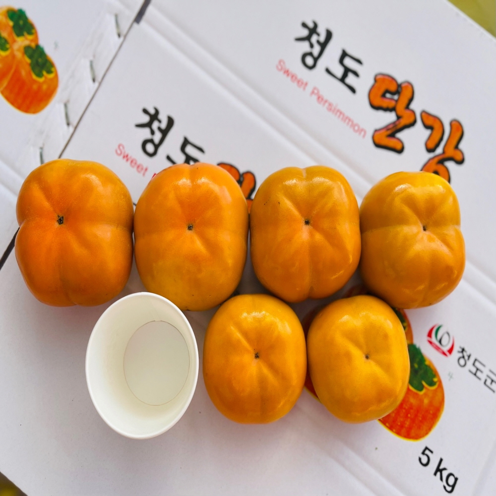 달콤 아삭 청도 단감 3kg 5kg 씨없는 반시 햇단감 : 두두네농산물