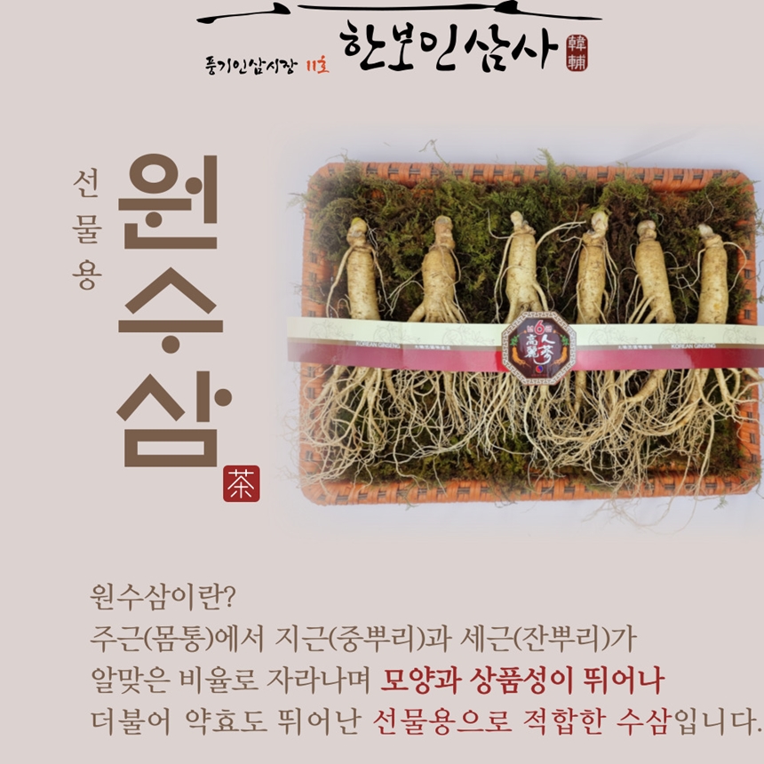 (무료배송) 풍기인삼 5년근 6년근 선물용 인삼 10-12뿌리 750g 종이상자포장 : 한보인삼사