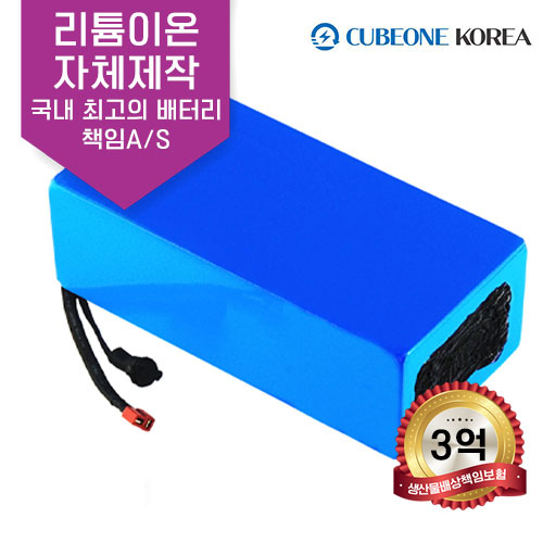 전동휠체어 노인전동차 장애인스쿠터 리튬이온배터리 36V 25AH 배터리 (기본형) : 큐브원코리아