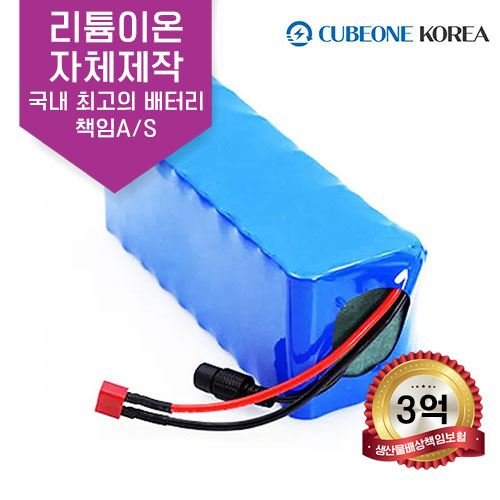 전동휠체어 노인전동차 장애인스쿠터 리튬이온배터리 36V 15AH 배터리 (기본형) : 큐브원코리아