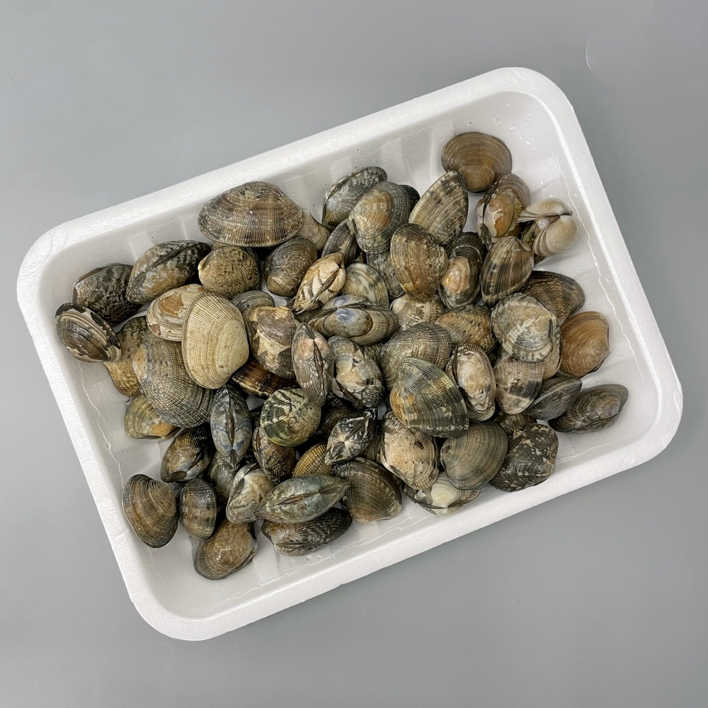 [의왕시 배달] 싱싱함에 기분마저 시원해지는 바지락 1kg [부곡 오라수산] : 동네시장 장보기
