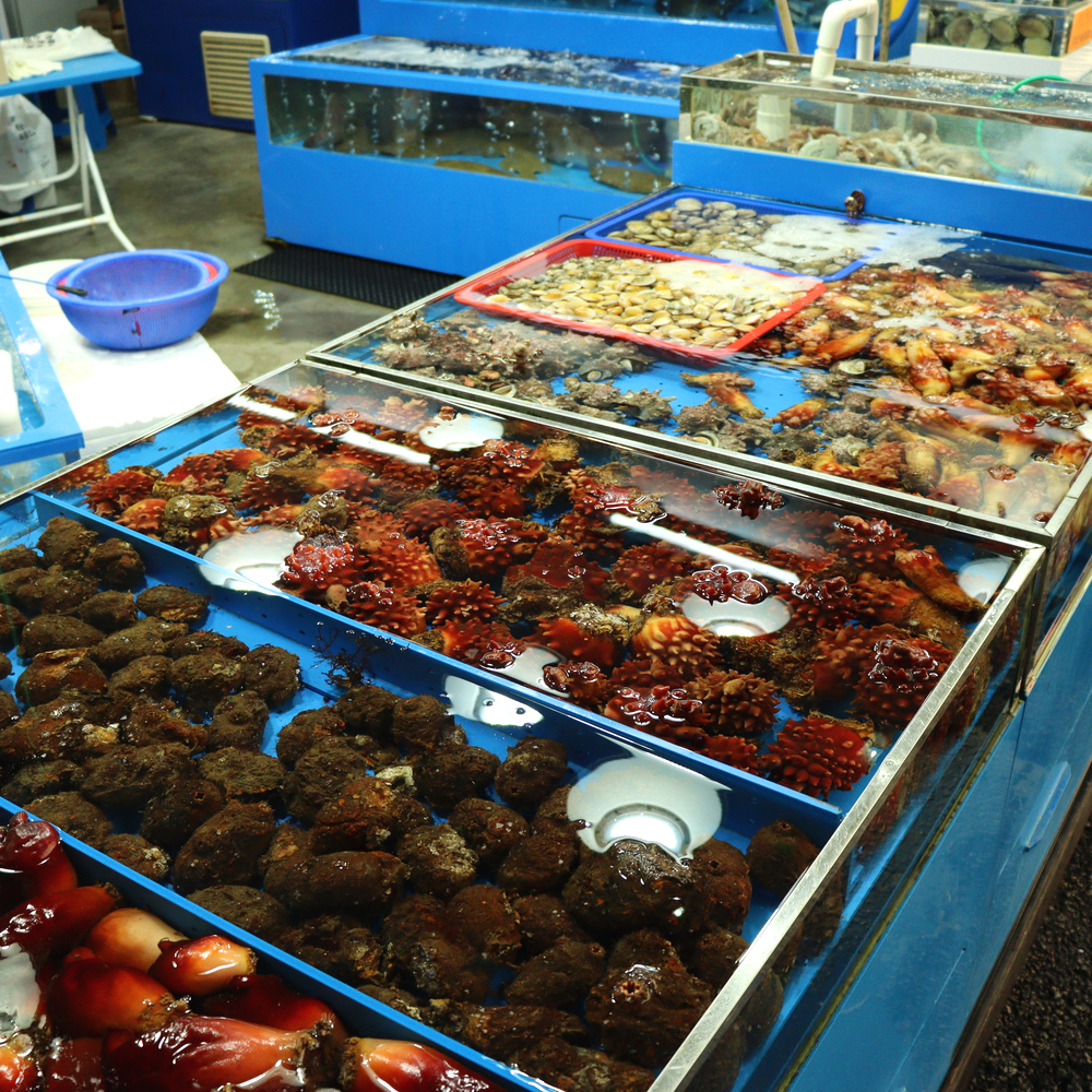 [의왕시 배달] 싱싱함에 기분마저 시원해지는 바지락 1kg [부곡 오라수산] : 동네시장 장보기