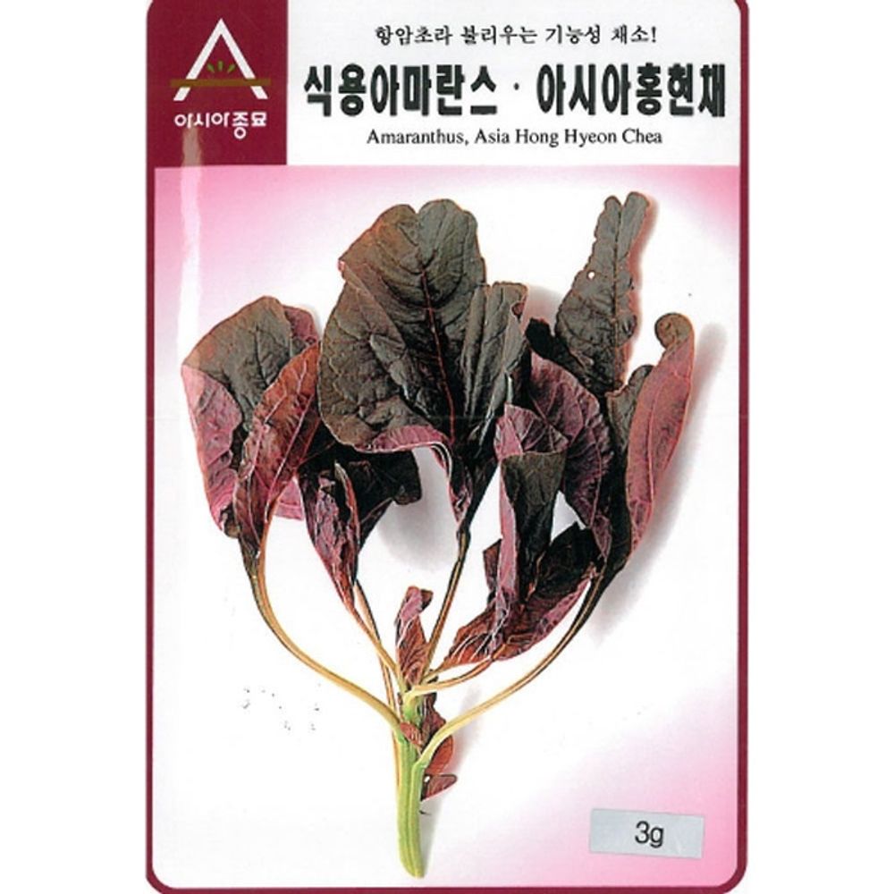 식용아마란스 채소 씨앗 홍현채 3g 비름 : 씨드꽃ZIP