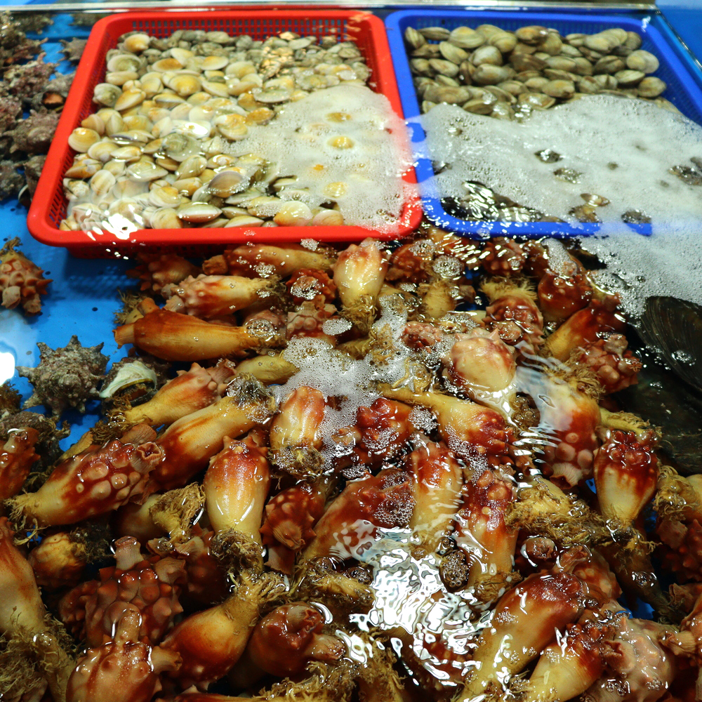 [의왕시 배달] 싱싱함에 기분마저 시원해지는 바지락 1kg [부곡 오라수산] : 동네시장 장보기