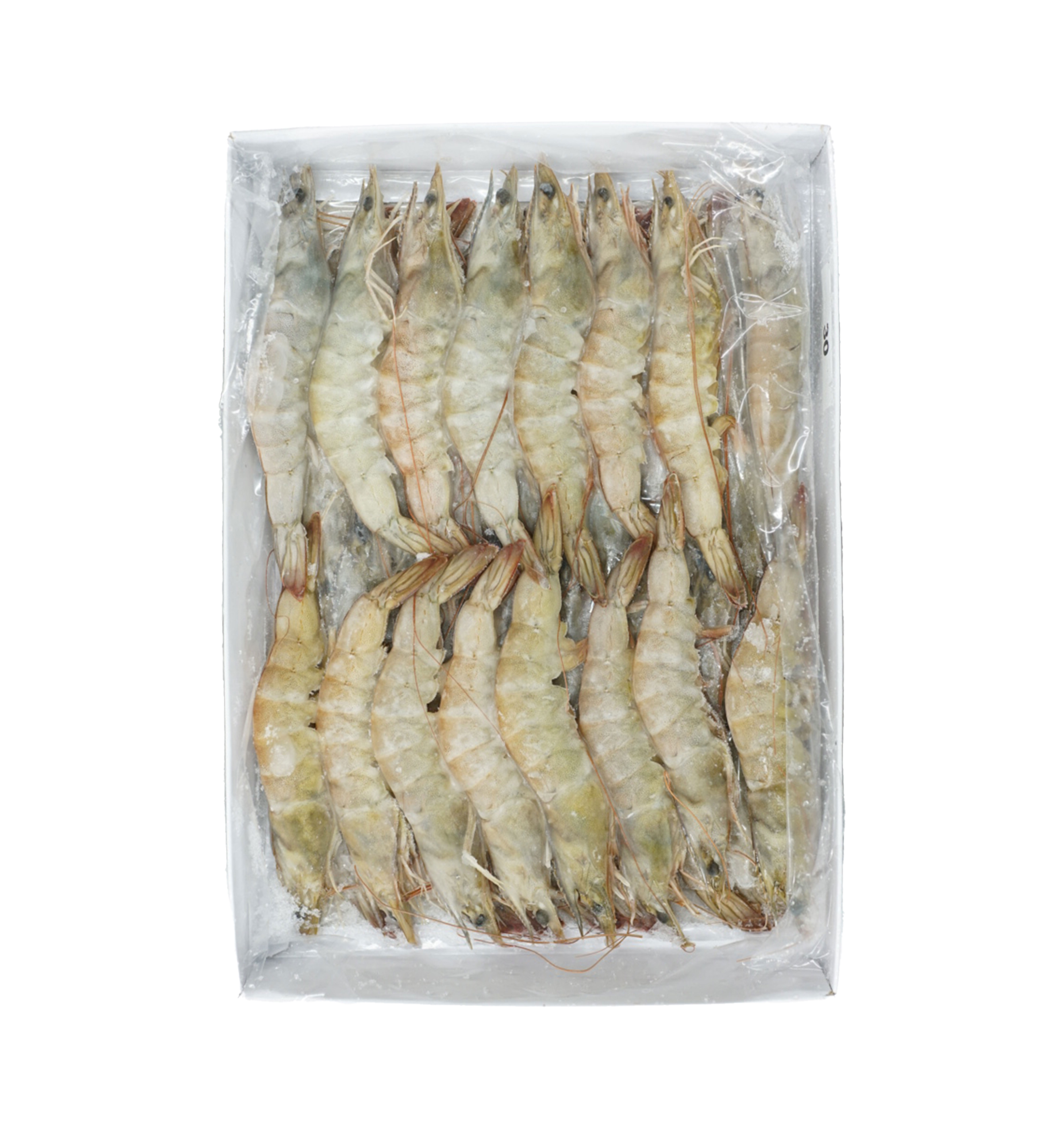 말레이시아 흰다리새우 30미 500g 업소용 도매 : 해물도사