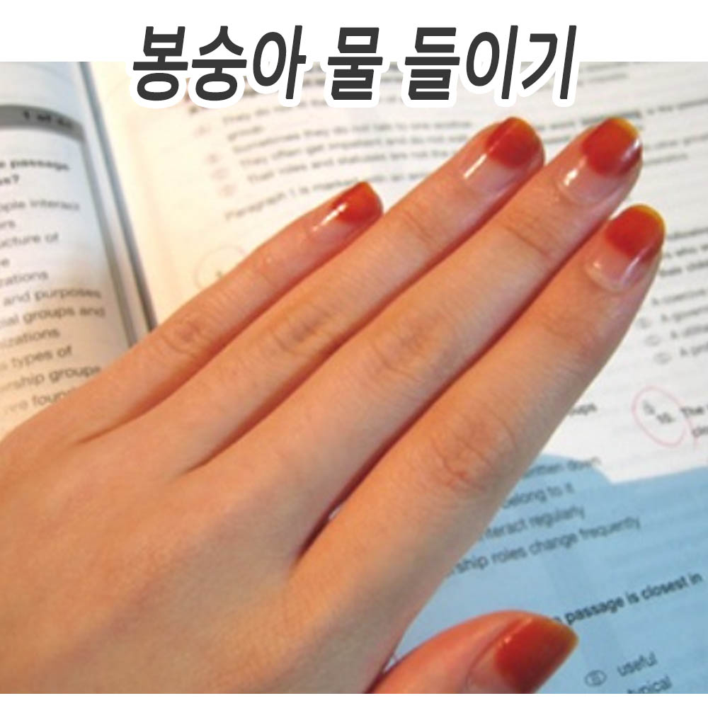 첫눈 오기전 봉숭아 물들이기 - 손톱 꽃물 : 마이네일