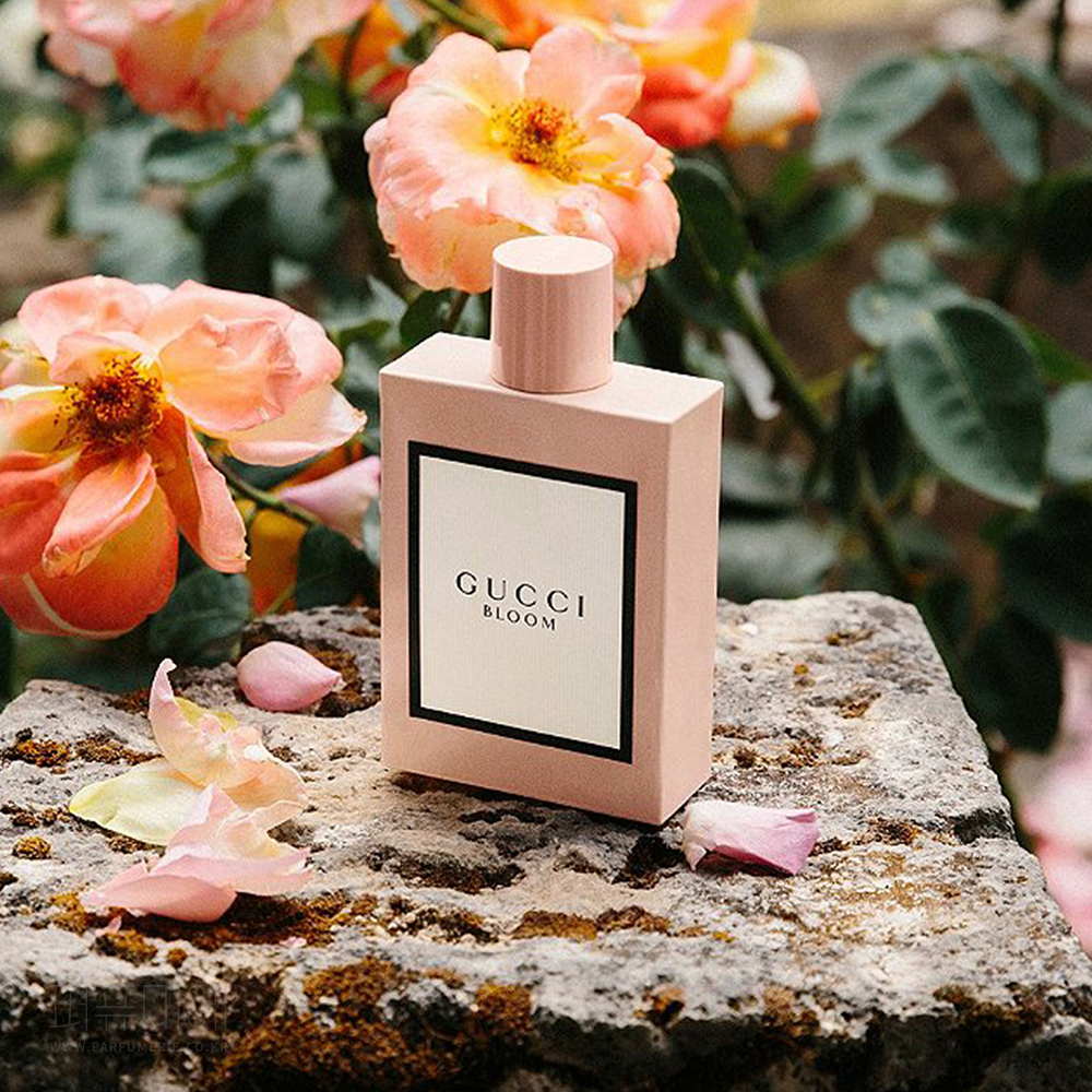 구찌 블룸 EDP 30ml : 퍼퓨미에