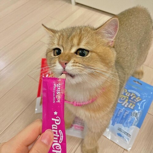 PD스탠바이미 캣 퓨레 파티츄 30P 고양이 츄르 허피스 방광염 신부전 찹찹 촉촉 보양식 : 러브펫츠
