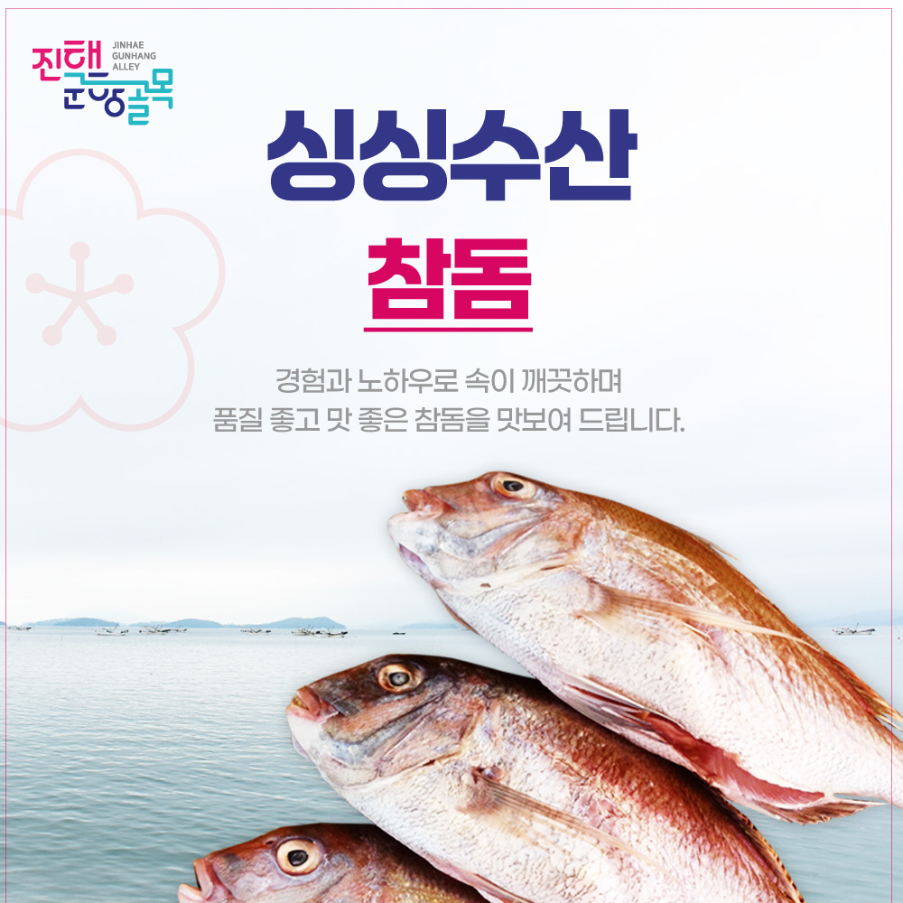 국내산 목포 참돔 34cm 싱싱수산 : 제수용 생선 싱싱수산