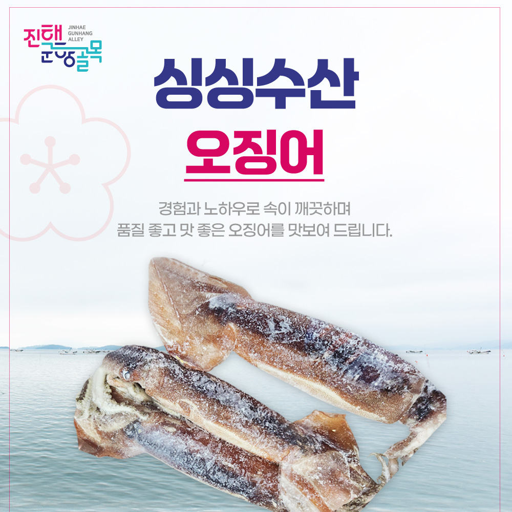 오징어 3마리 마리당 200g 국거리 볶음 : 제수용 생선 싱싱수산